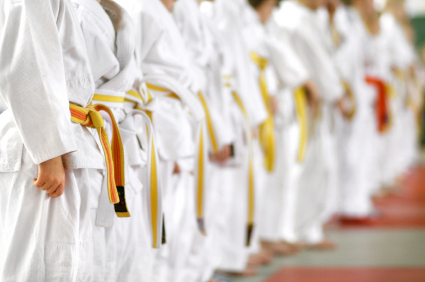Martial Arts Insurance in Melbourne, Palm Bay, Beaches, Brevard County, FL